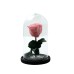 Beauty And The Beast Pink Rose Small Campana